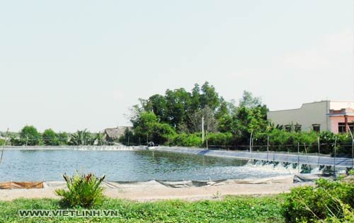 Chuẩn bị nước nuôi tôm