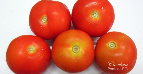 Cà chua có rất nhiều lợi ích cho sức khỏe và sắc đẹp của phụ nữ