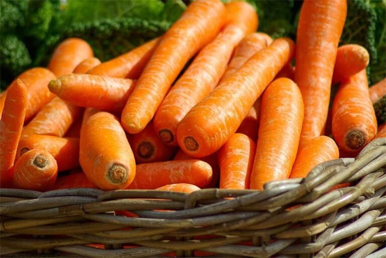 Cà rốt – thực phẩm quý giá