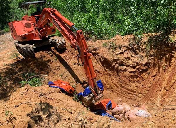 Miền Trung kiểm soát dịch tả lợn châu Phi, hướng dẫn người dân tái đàn an toàn