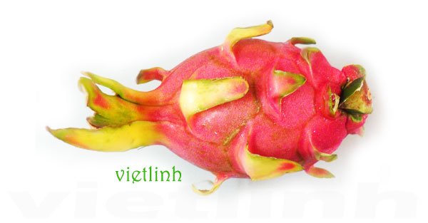 Kỹ thuật sử dụng chất hút ẩm trong bảo quản rau quả sấy khô