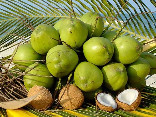 Nước dừa