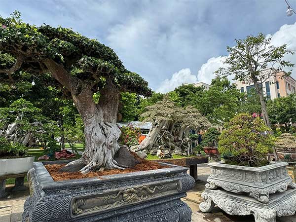 Khai mạc Liên hoan triển lãm sinh vật cảnh tỉnh Gia Lai mở rộng – lần thứ I năm 2025