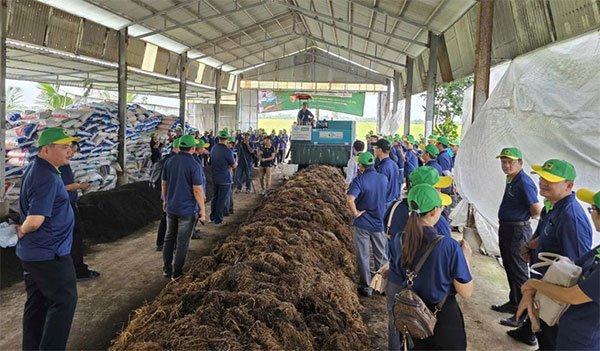 Thúc đẩy kinh tế tuần hoàn từ rơm rạ qua ‘Ngày hội nông dân trồng nấm’