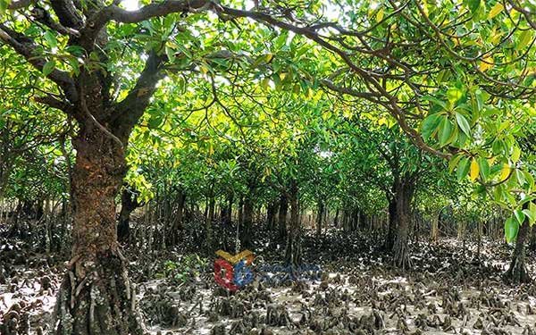 Bảo vệ môi trường biển bền vững