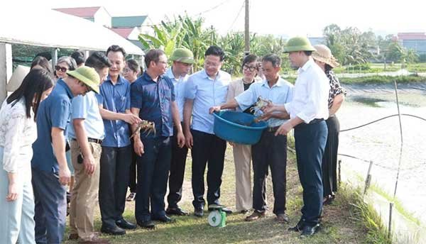 Hội thảo đầu bờ về kết quả mô hình xác định mật độ nuôi phù hợp cho cua cà ra thương phẩm