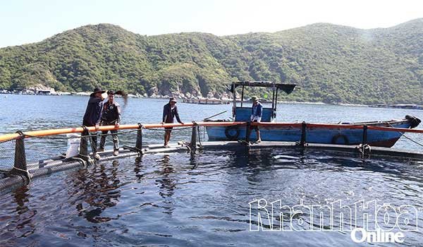 Lồng HDPE – ‘Chìa khóa’ nuôi biển thích ứng biến đổi khí hậu