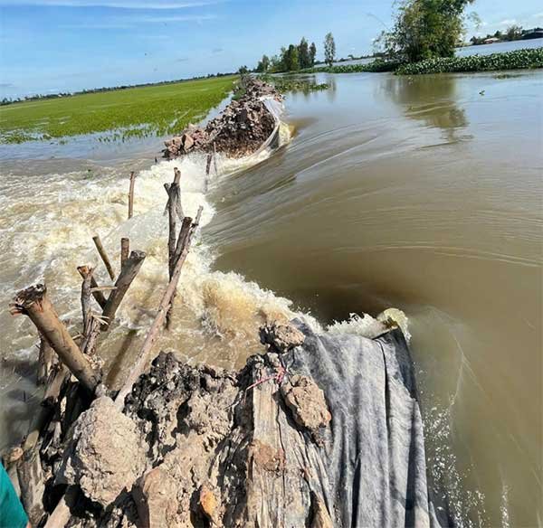 Tây Ninh: Gần 830ha lúa và cây ăn trái bị thiệt hại do lũ