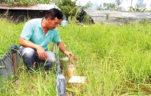 Hiệu quả mô hình kinh tế tuần hoàn – không chất thải