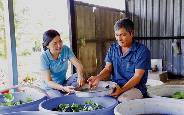 Năng động làm giàu