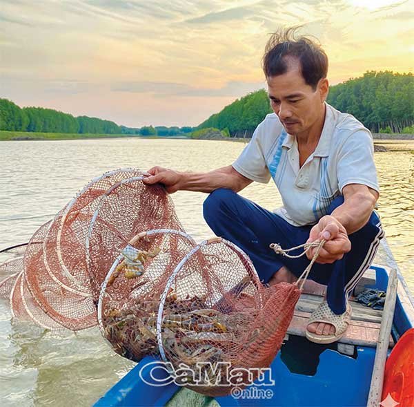 Sản xuất thuận thiên