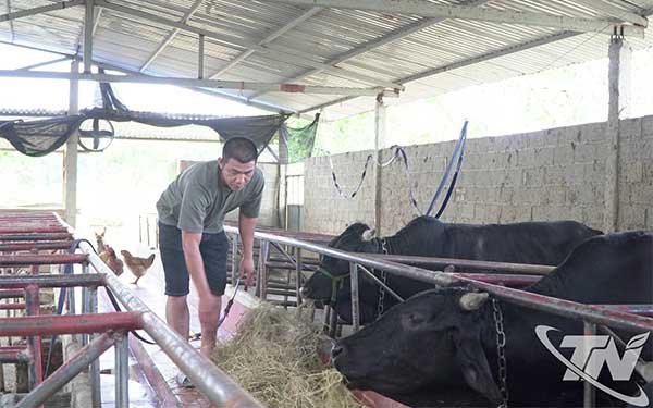 Thái Nguyên: Khẩn trương vệ sinh chuồng trại để tái đàn