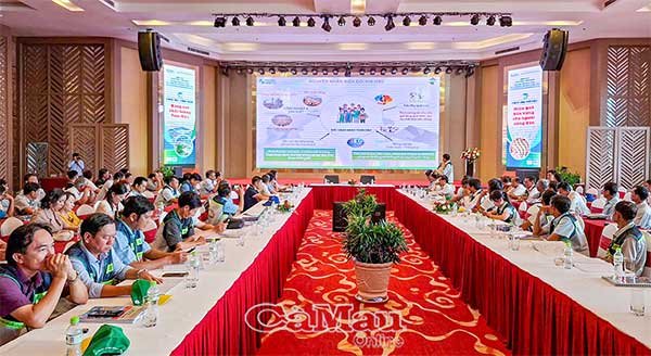 Ứng dụng tiến bộ kỹ thuật phát triển nuôi tôm nước lợ bền vững