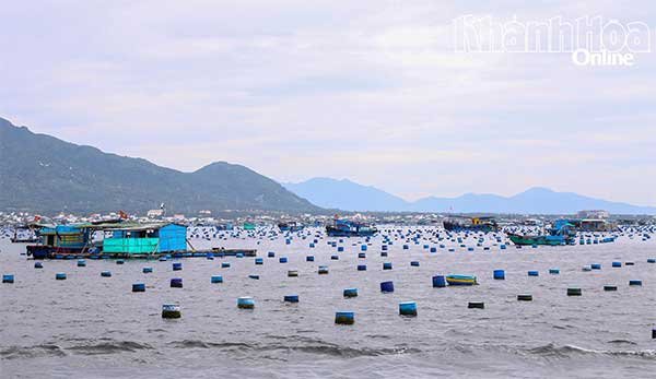 Chủ động ứng phó bão Kalmaegi trong lĩnh vực thủy sản