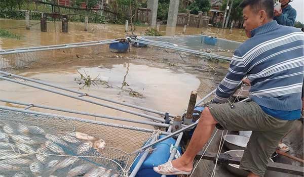 Đa dạng hình thức nuôi trồng thủy sản để tránh thiệt hại