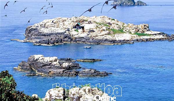 Giải pháp bảo vệ đàn chim yến