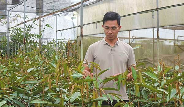 Khấm khá từ nghề ươm cây giống