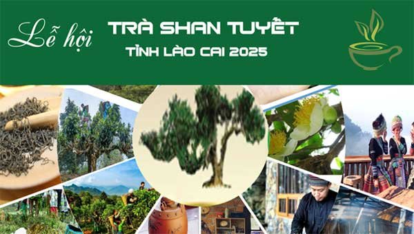 Lễ hội Trà Shan Tuyết tỉnh Lào Cai dự kiến diễn ra trong 2 ngày 21 và 22-11-2025