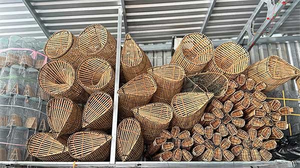 An Giang: Nghề lọp lươn Cần Đăng