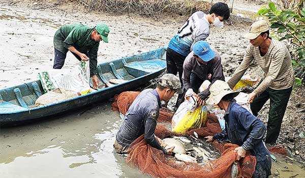 Phát triển ngành thủy sản theo hướng tăng trưởng xanh và bền vững 