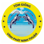 Vĩnh Phát Ninh Thuận: Tuyển nhân viên, cộng tác viên kinh doanh [Miền Trung, Tây]