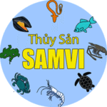Samvi: Tuyển nhân viên thị trường [Bạc Liêu]